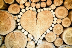 heart-1288420_1920