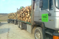 transport3