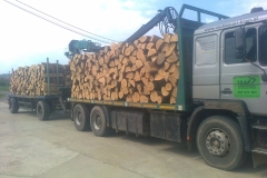 transport5
